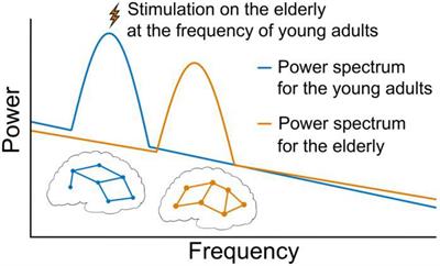 Natural frequencies of neural activities and cognitions may serve as precise targets of rhythmic interventions to the aging brain